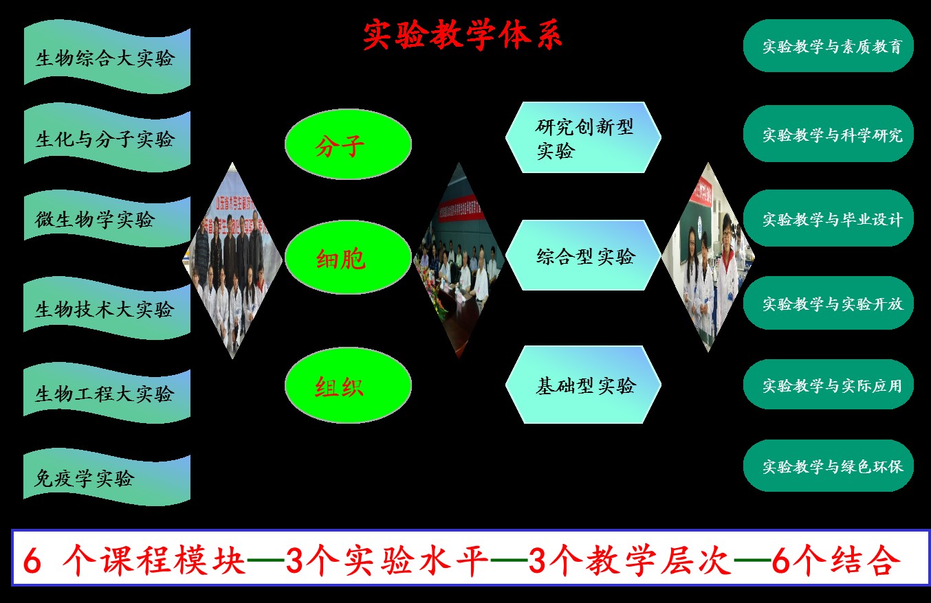 以滿足不同層次,不同來源和培養目標學生