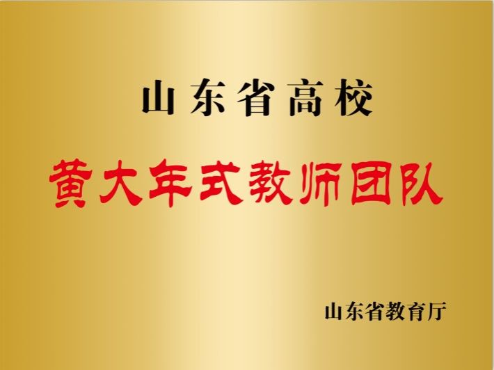 山东省高校黄大年式教师团队